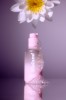cloud cleanser 1.jpg